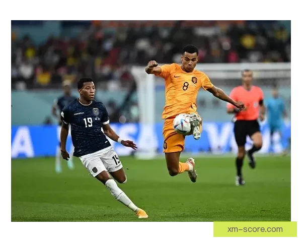 世界杯赛事全攻略:精准竞猜投注策略与热门赛果推荐 世界杯赛事全攻略:精准竞猜投注策略与热门赛果推荐