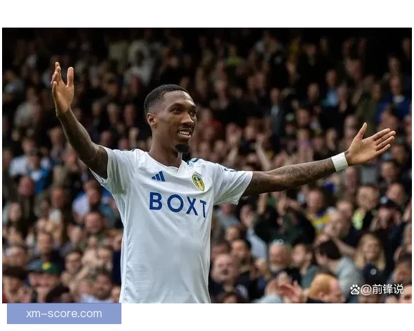 维罗纳球迷对法焦利发出歧视性口号 古德蒙德松随即回应事件曝光